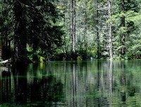 《瓦尔登湖》读后感10篇