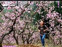 《生活的另一种美好》经典语句