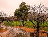 过往，烟雨蒙蒙