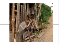 关于 老哥 名言名句