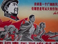 谁与懂