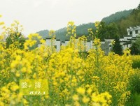 《私奔去远方》的读后感10篇