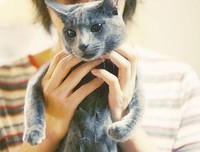 最全的金希澈名言大全