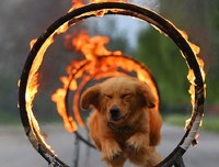 关于二二的语句