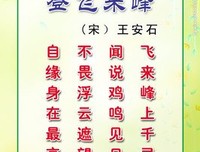 关于王安石的唯美语录