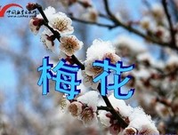 晓白的语句摘抄_关于晓白的语句