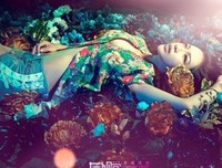 关于霜霜的语句