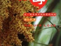 《杨小羊求职记》读后感10篇