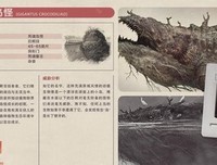 《便·当》的观后感10篇