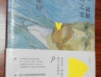 《蒋勋破解梵高之美》读后感10篇