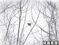 冲到最后一刻读后感10篇