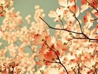 最新的《心静自然禅》经典语句