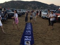那就这样吧