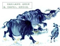 成长的痛苦 ，远比后悔的痛苦好