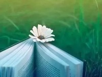 《压伤的芦苇》读后感10篇