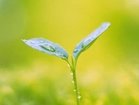如果真的不行，要学会转身
