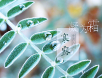 15条关于秋蝉的经典语句