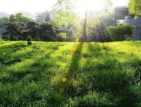 今日灵修：我们的“心”是不是出了问题？