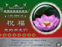 你还好吗，我隔屏相望的朋友