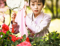 《红楼梦》经典影评集