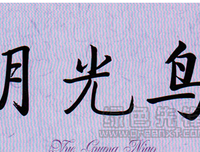 月光还是少年的月光读后感10篇
