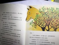 椋鸠十动物小说 • 第一辑经典读后感10篇