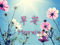 最新的《隐藏的和谐》经典句子