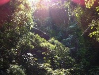 一个人静静地思索着