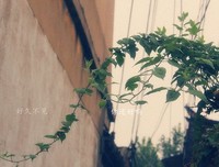 你还好吗？