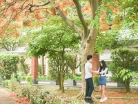 青春，仅是一朵花开的时间