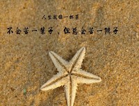 奋斗者2经典读后感10篇