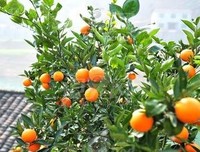 《我们生活的故事》经典读后感10篇