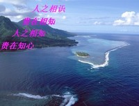 最新的叶芝名言大全