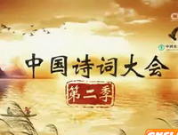 《中国诗词大会 第三季》的观后感10篇
