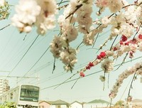 如何戒掉坏 习惯 的读后感10篇