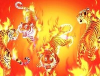 少年们想从侧面看烟花经典读后感10篇