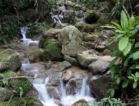 浪人天涯经典读后感10篇