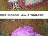 18岁老年痴呆柴犬离世，“亲爱的猫，谢谢你用生命爱过
