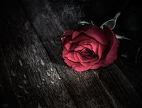 沉默，是一个女人对男人最大的死心