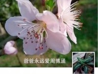 幸好，这样的你走到了我面前