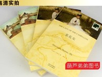 最新的《包法利夫人》小说摘抄
