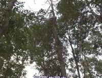 《人生果实》观后感精选10篇