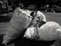 《一不小心就老了》经典读后感10篇