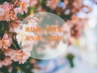 关于双燕的唯美语录