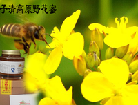 国学共读 | 振保娶了理想中的妻子白玫瑰
