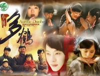 小姨多鹤读后感10篇