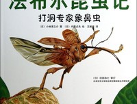 《旧时之美》的读后感10篇