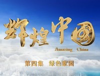 《弟之夫》经典观后感集