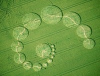 最新的《小小麦田》经典的句子
