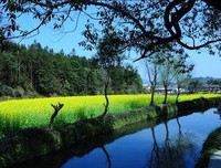 此生再难寻读后感10篇